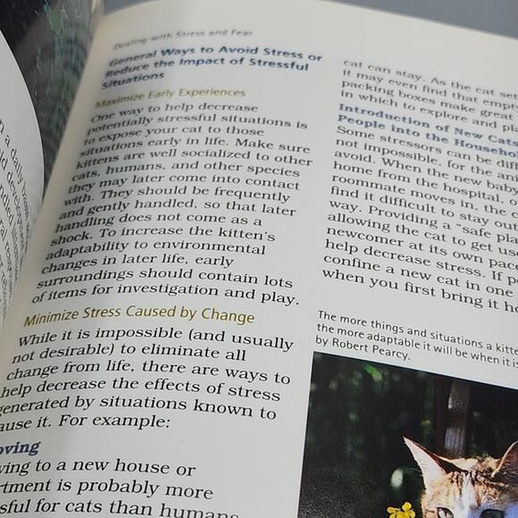 Cat Behavior & Training: Veterinary Advice : Stress Agression Learning Social HC - Picture 10 of 13